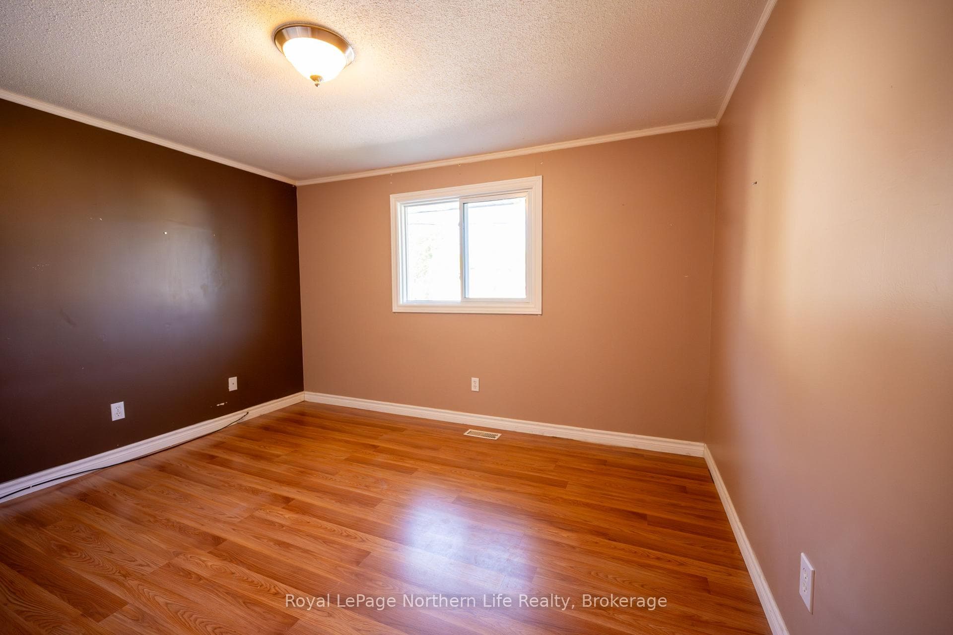 17 Arthur Court photo 17