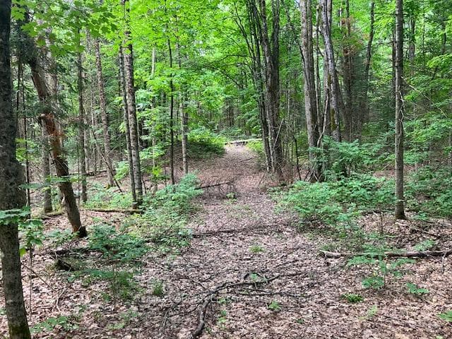 6732 County Road 620 N/A photo 11