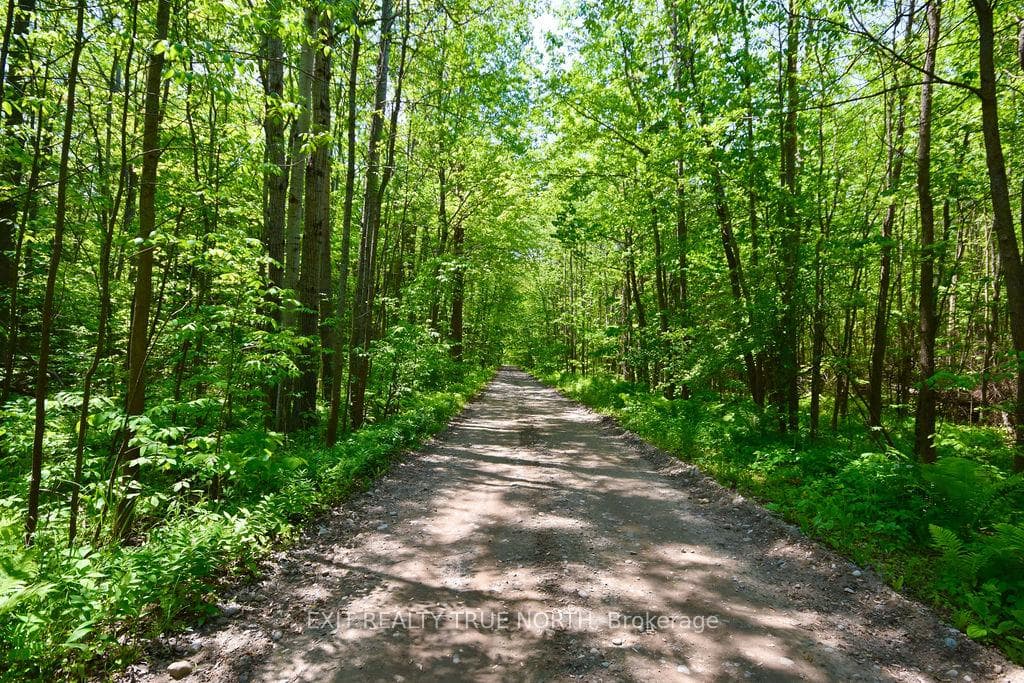 199 3 Concession Road photo 14