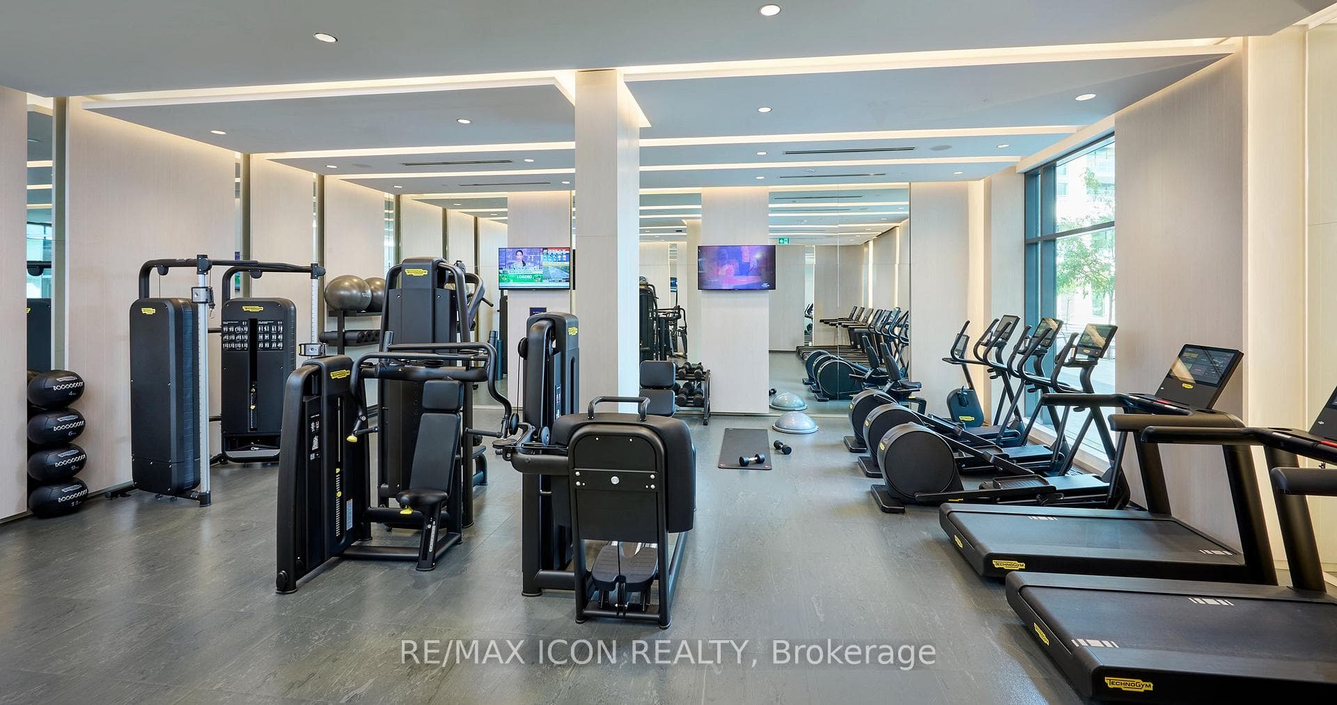 Gym & Fitness