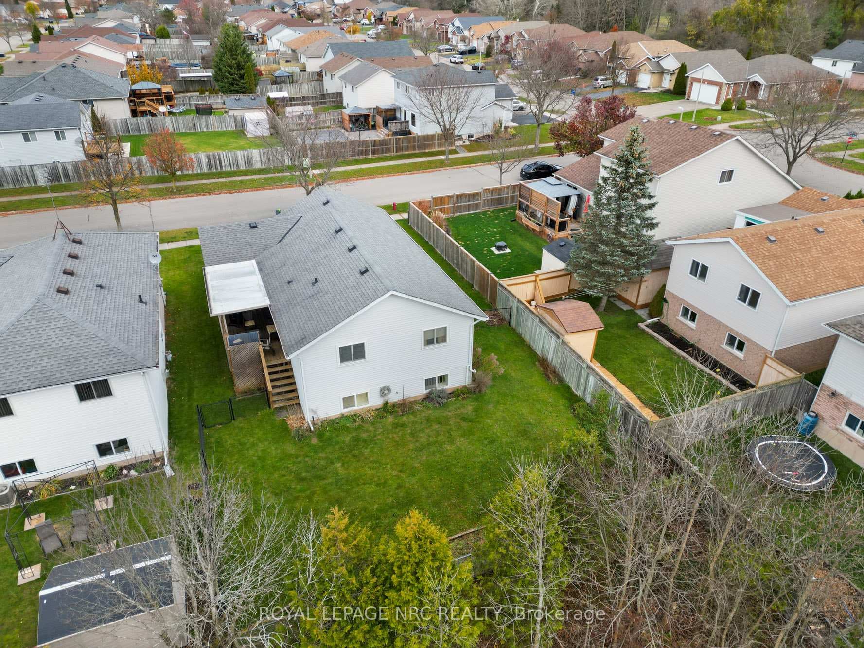 199 Balsam Street photo 8