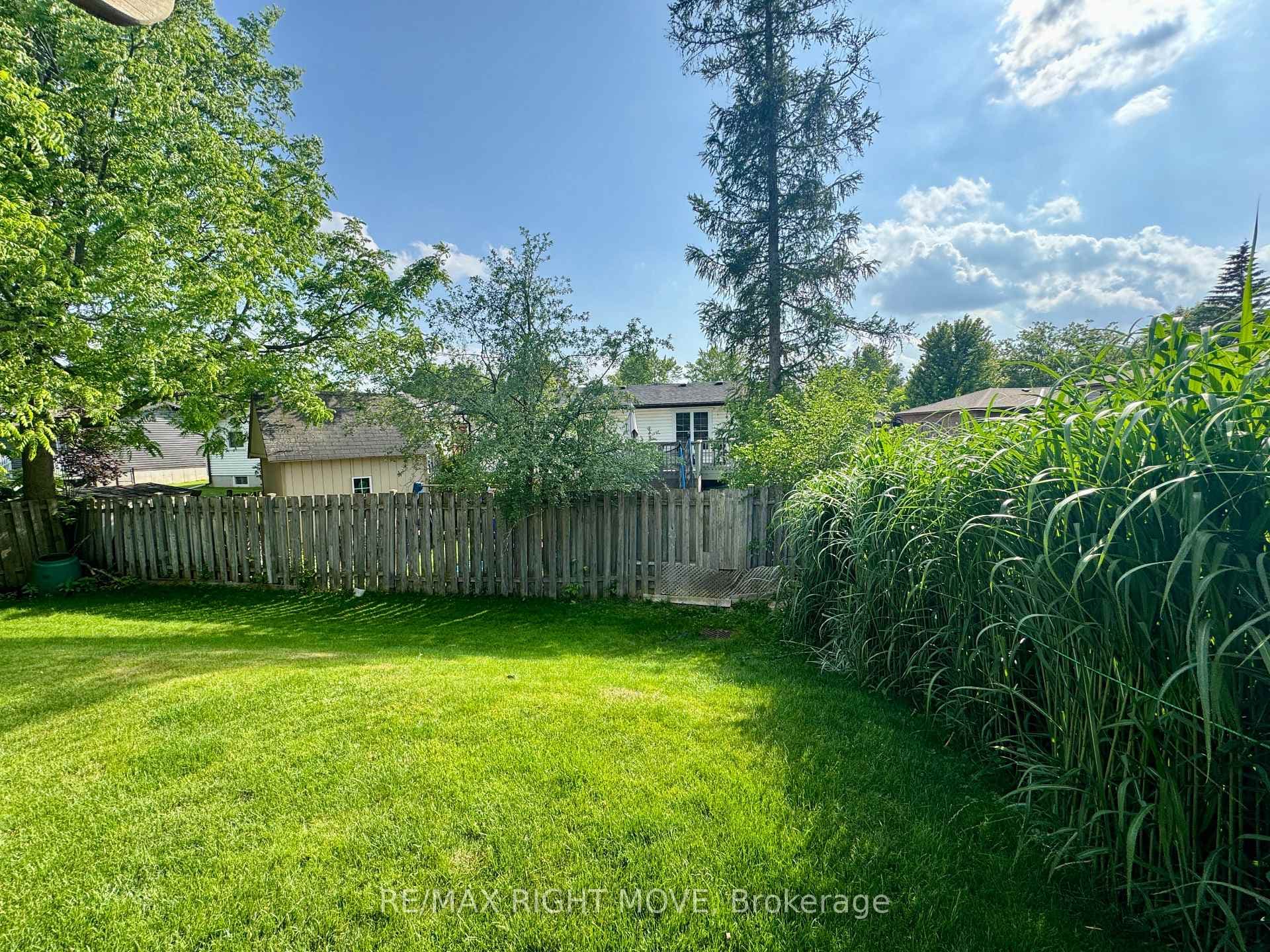 12 Hawkins Street photo 10