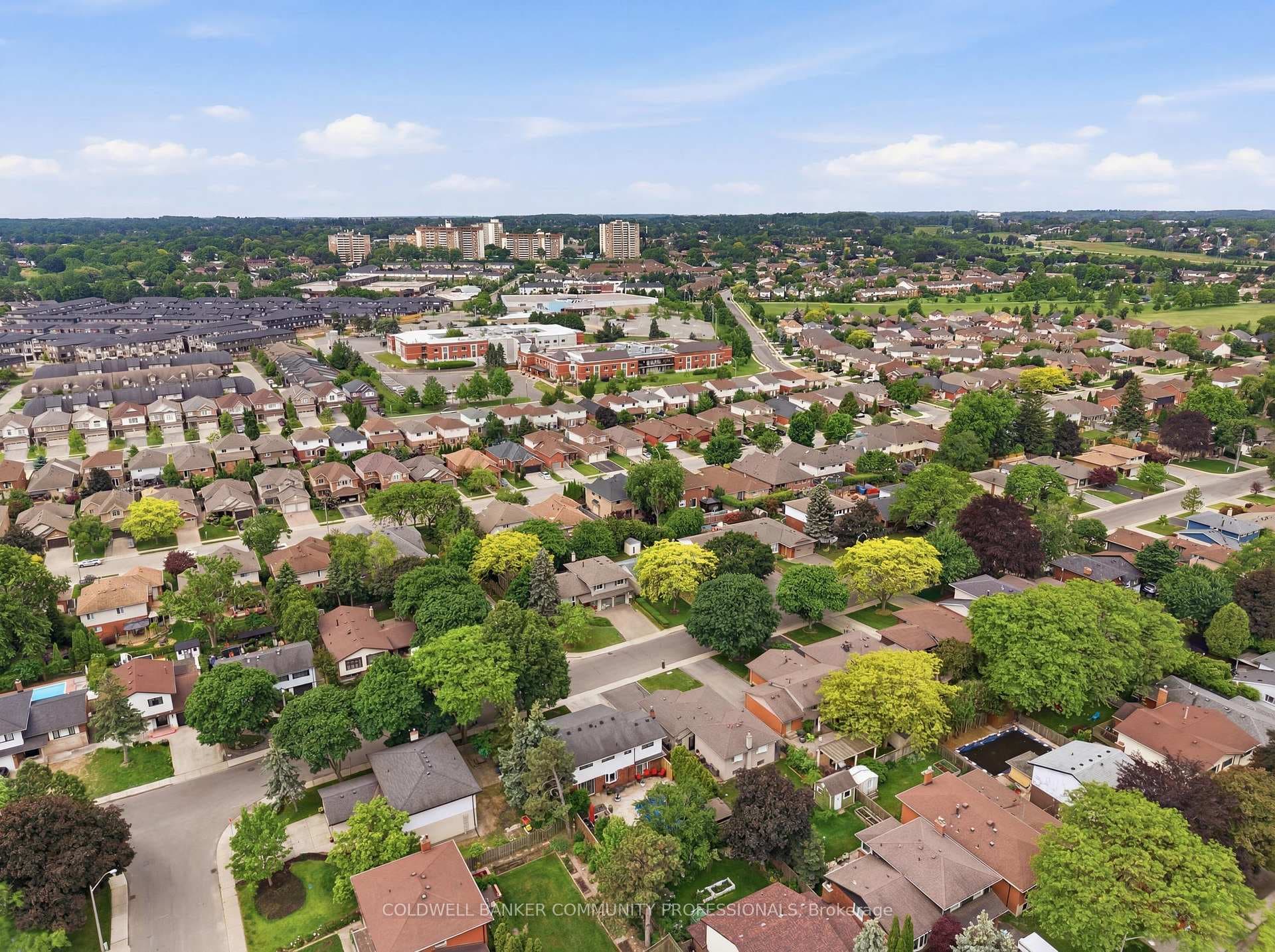 aerial view