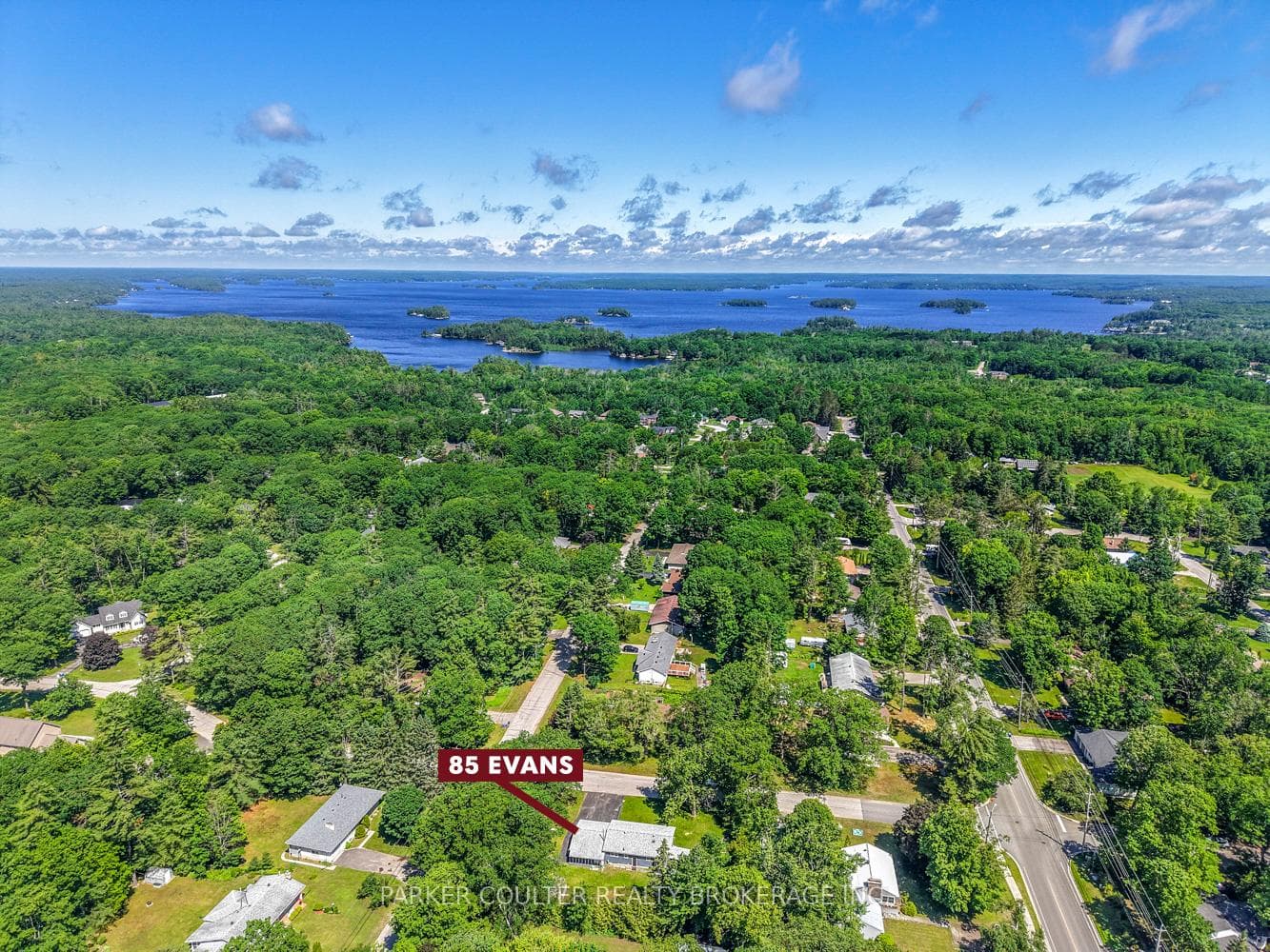 85 Evans Avenue photo 46