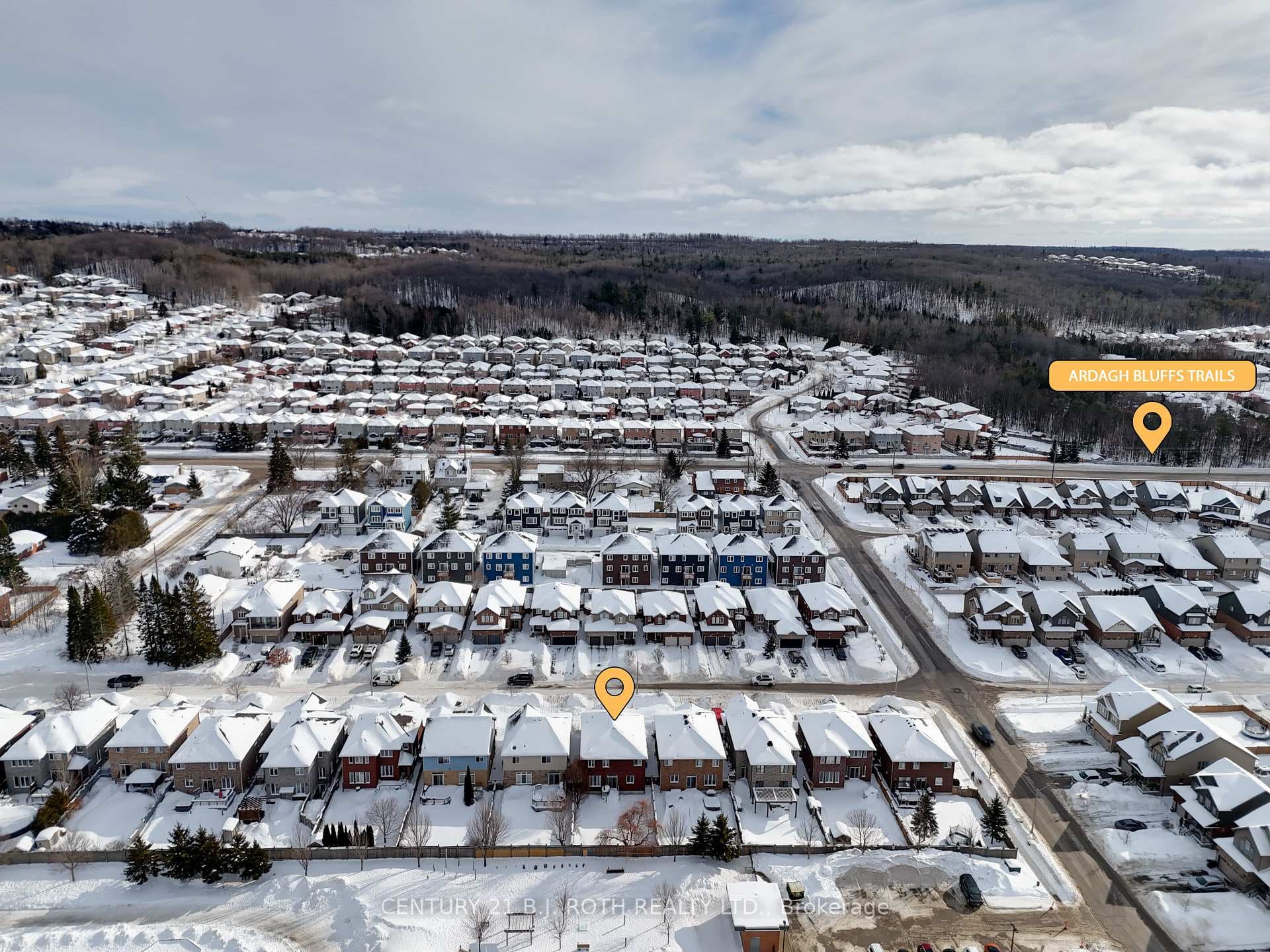 10 Auburn Court photo 38