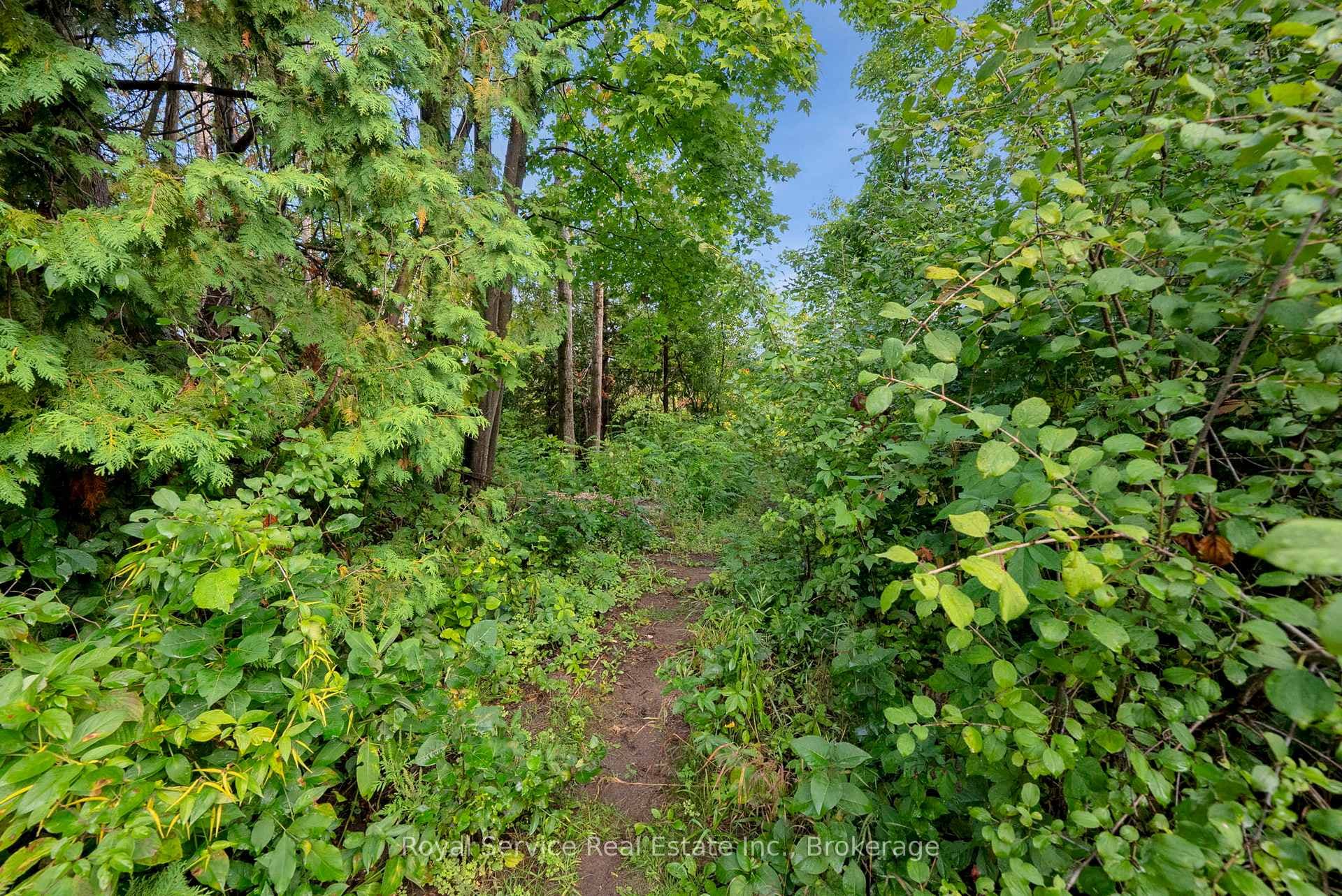 1204 Pigeon Creek Road photo 39