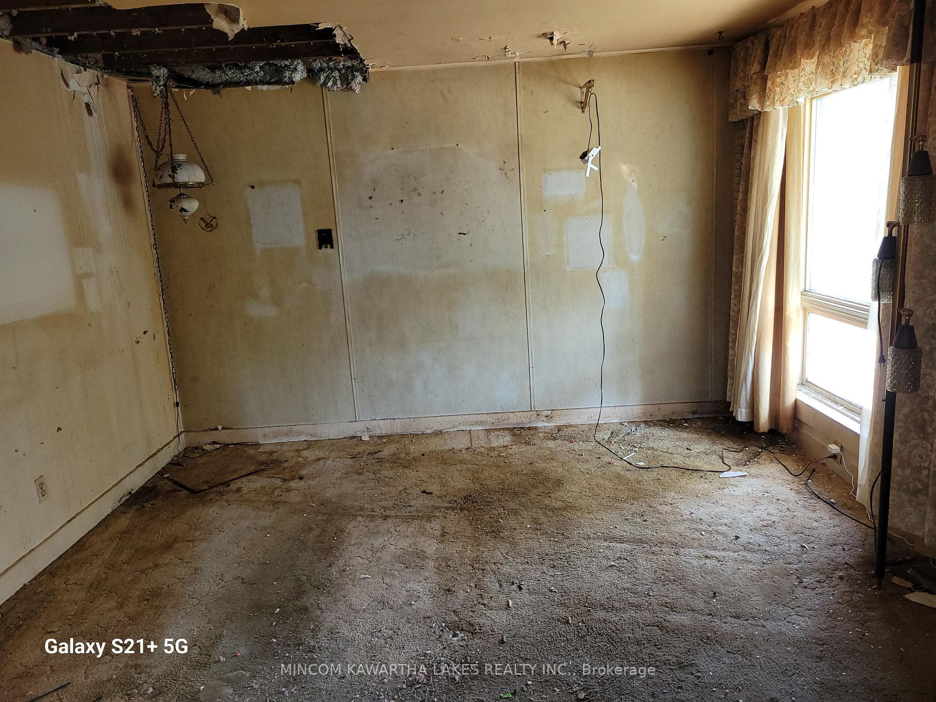 1019 Brewer Street photo 5