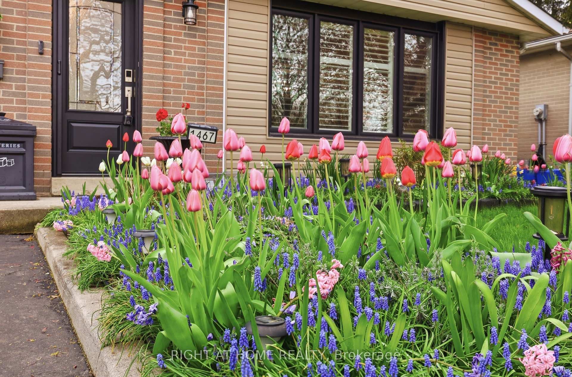 Lovely flower beds