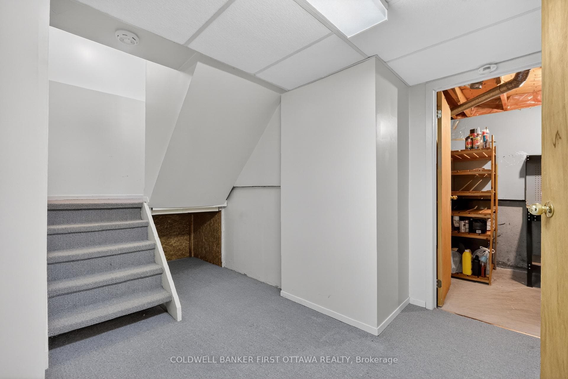 273 Kinglet Way photo 29