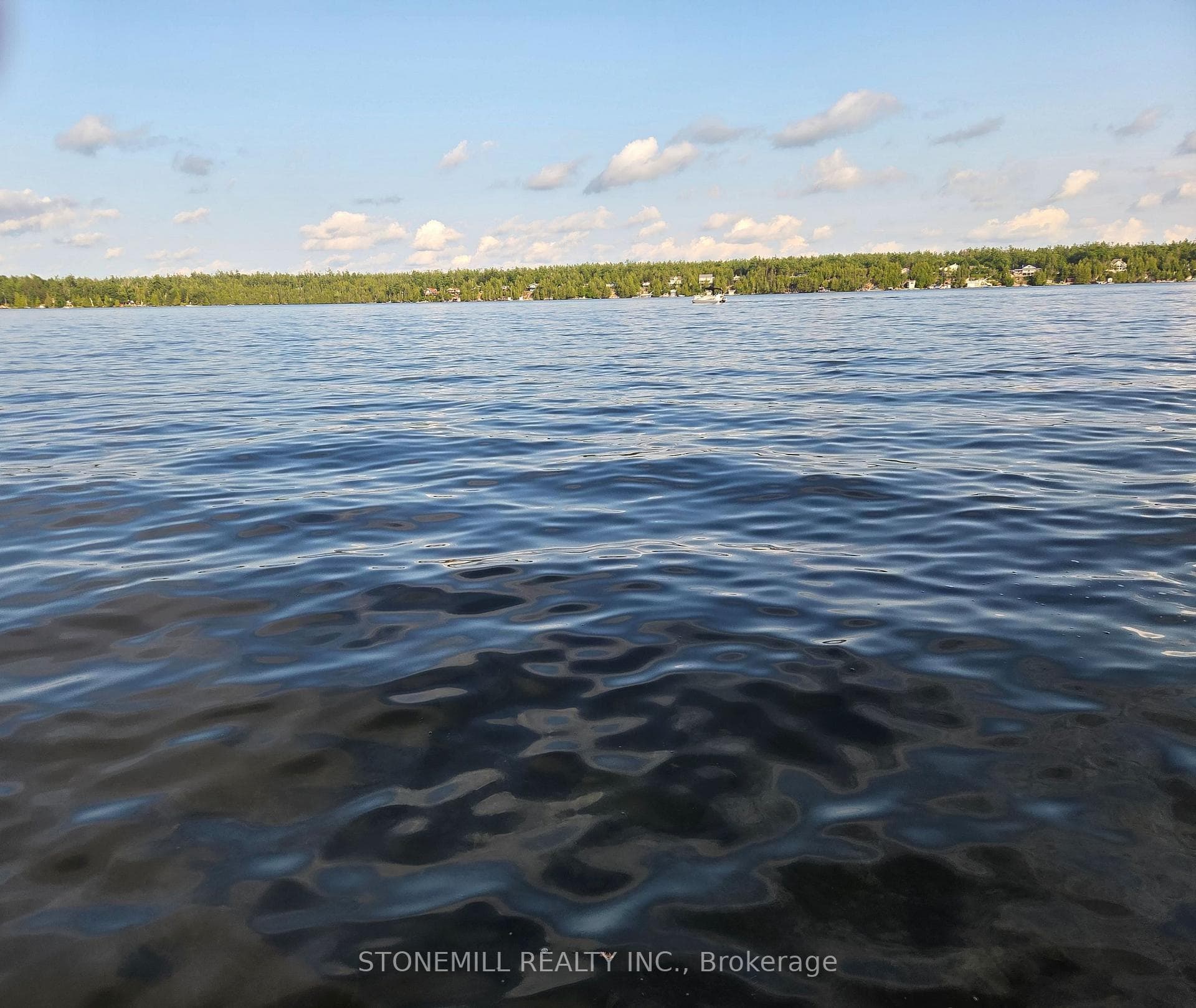 View From Dock