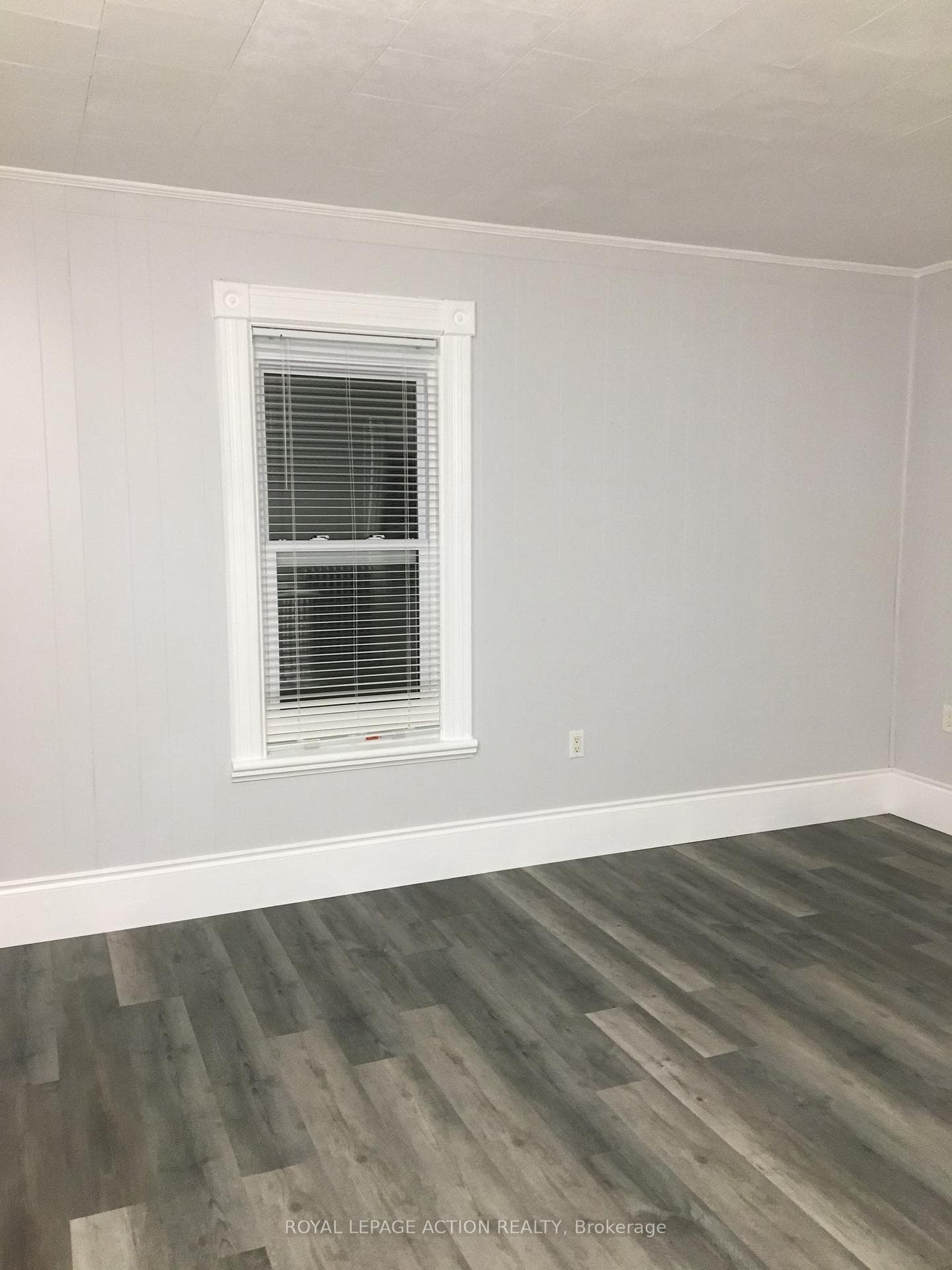 211 Brock Street photo 22