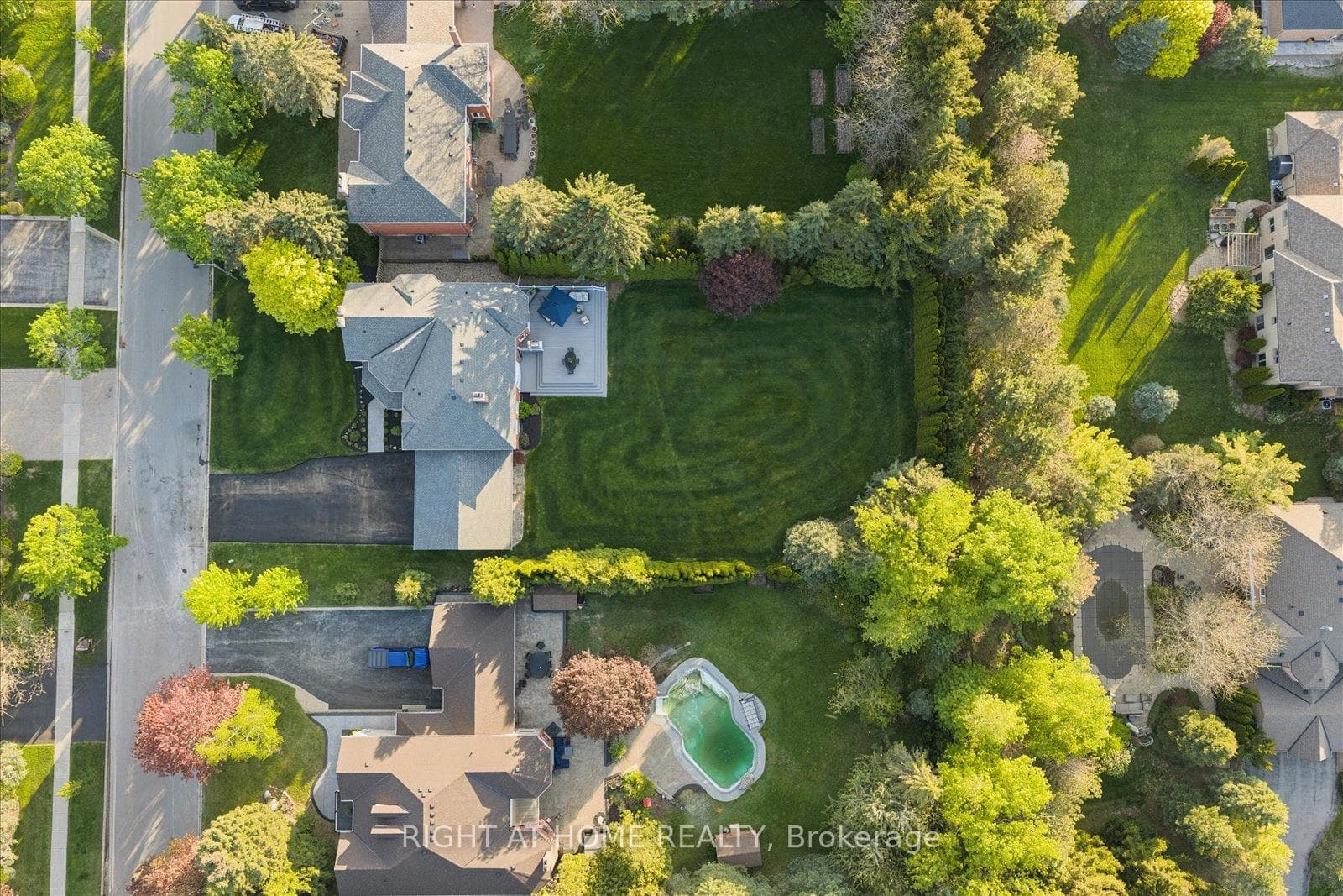 Privacy w/over 100 cedars on a premium 100X200 lot
