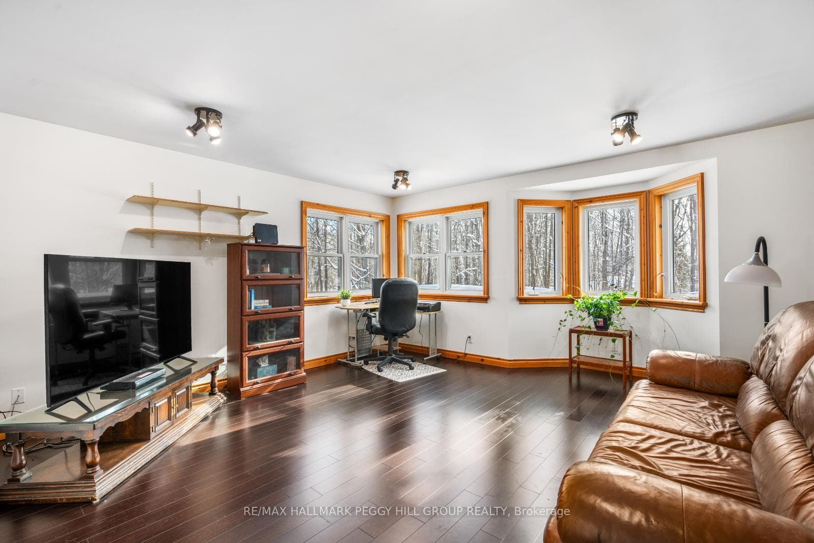 274 Peter Street photo 13