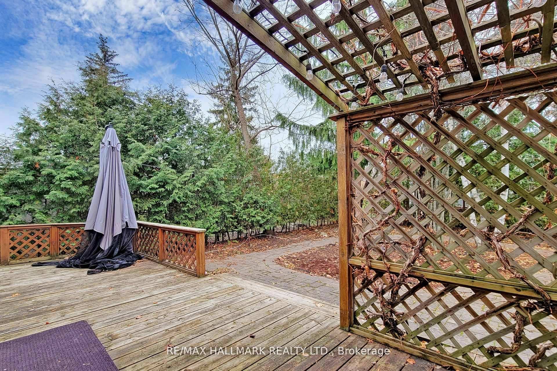16 Knowles Crescent photo 21