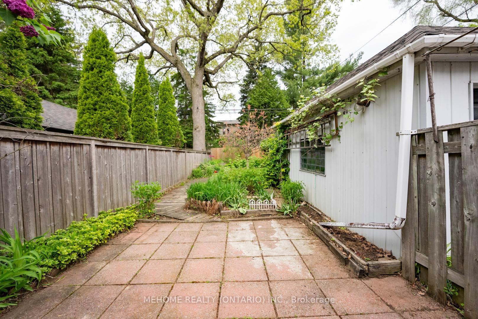 558 Hillsdale Avenue photo 39