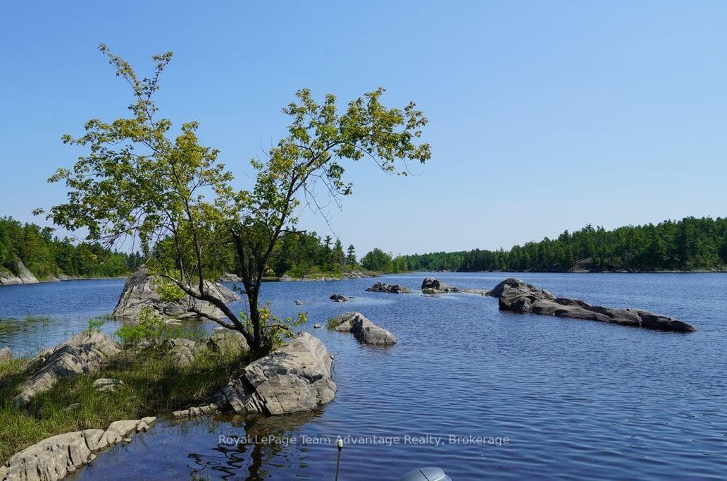 TP3411 ISLAND FRENCH RIVER N/A photo 20