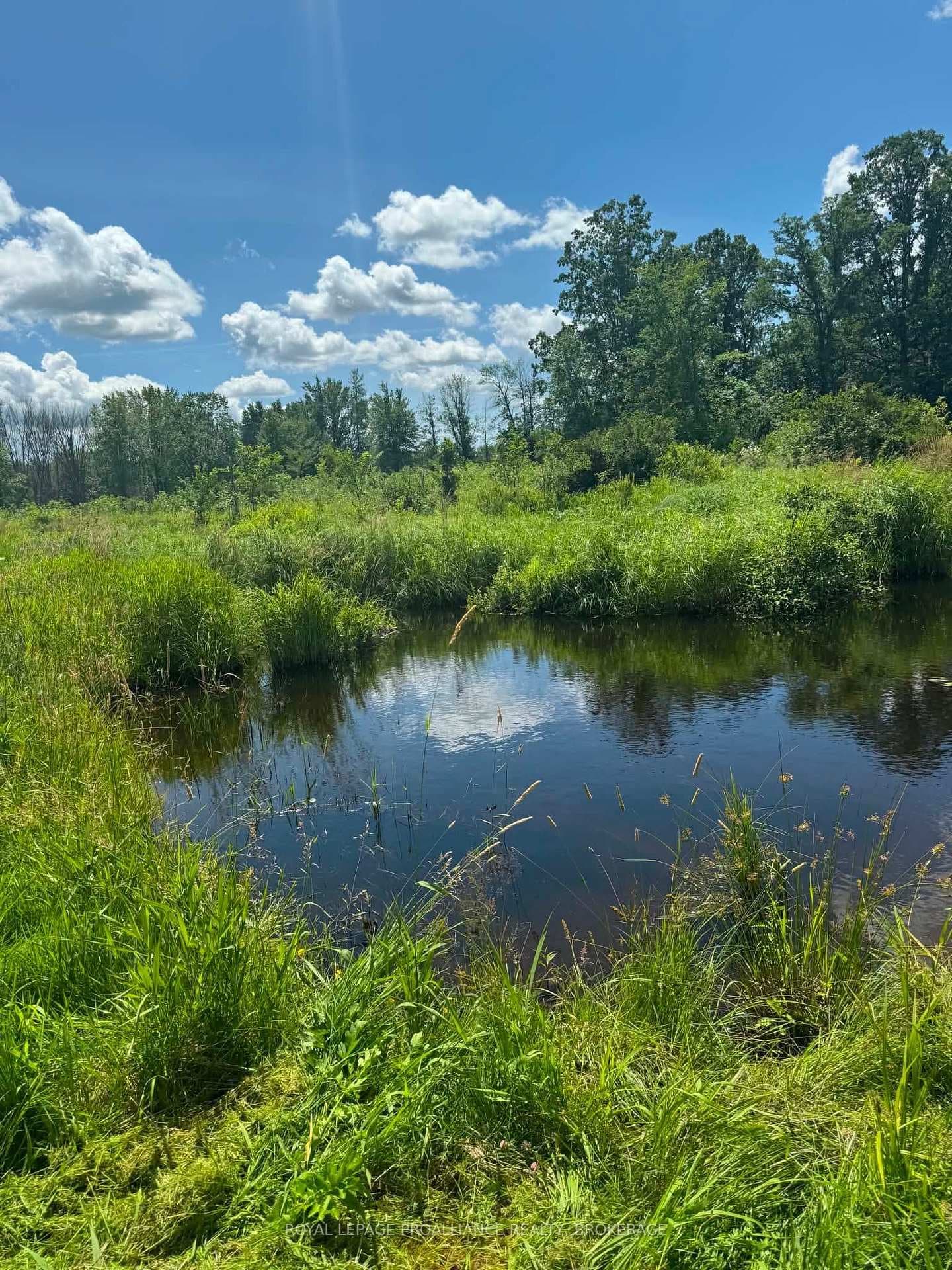 3920 County Road 14 N/A photo 3