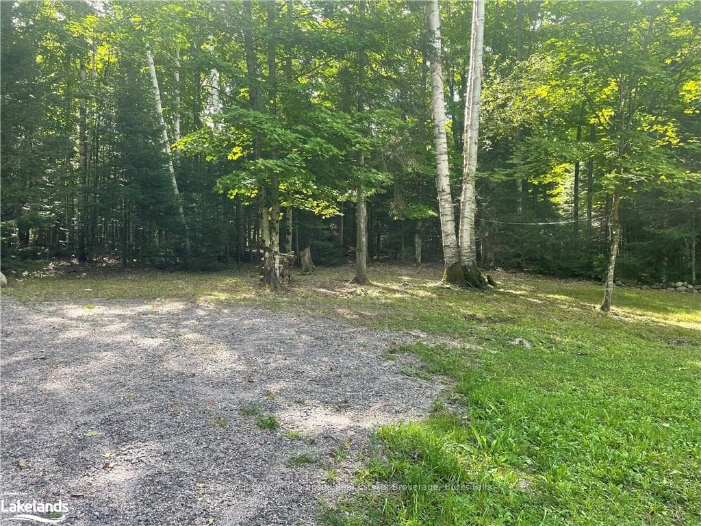 1243 GARAGE Road photo 5