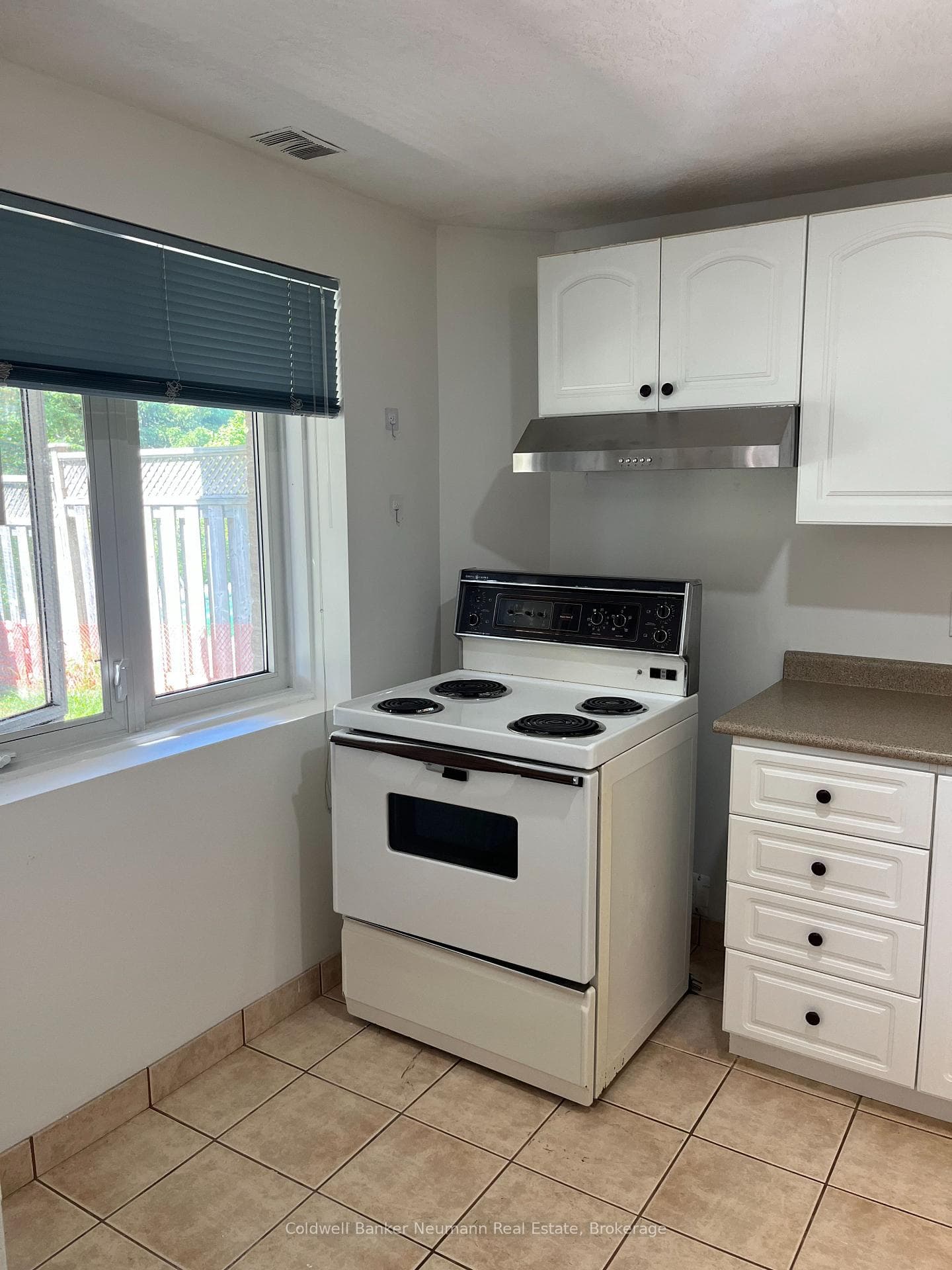 198 Summerfield Drive Unit LOWER photo 10