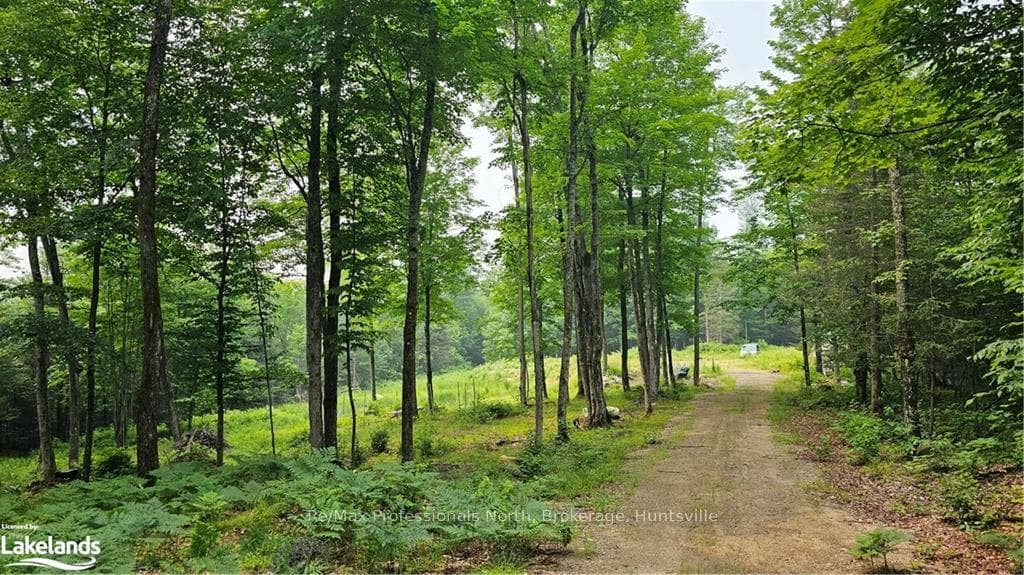 0 LYNCH LAKE Road photo 4