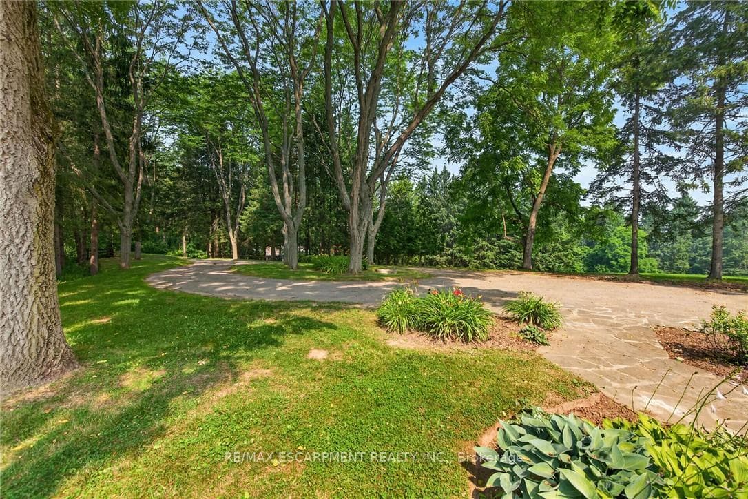 1376 Mineral Springs Road photo 41