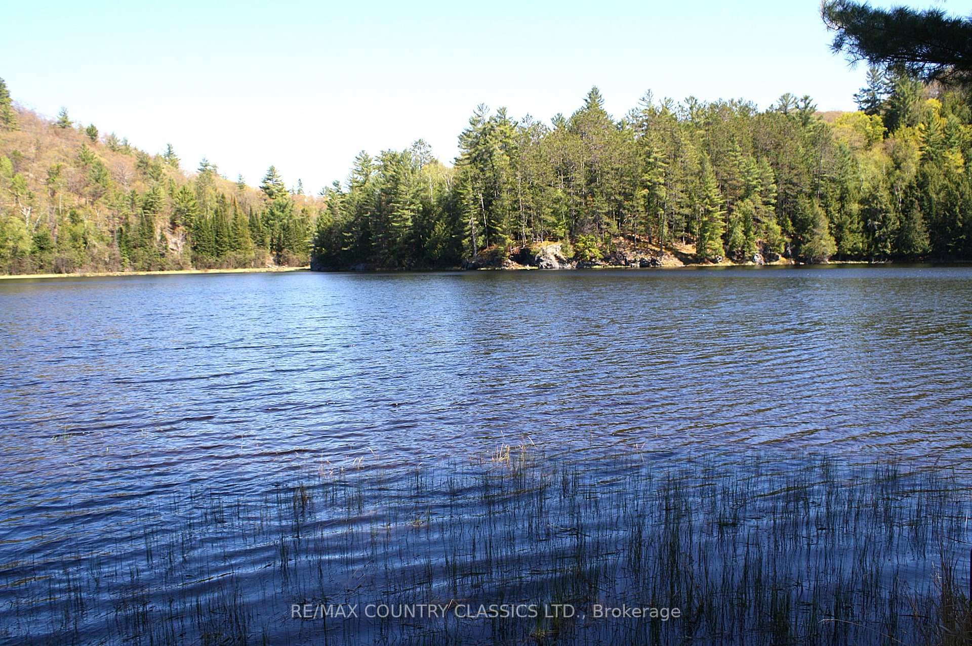 1060 Little Ireland Road photo 3