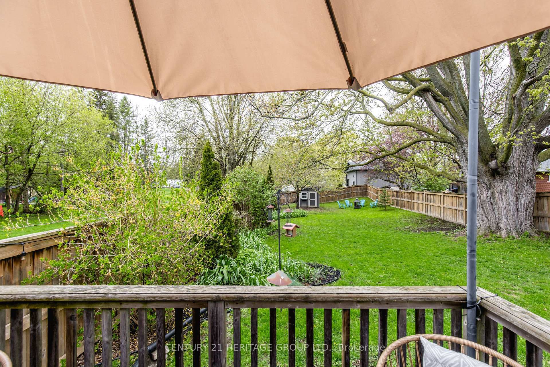 38 Dale Drive photo 38
