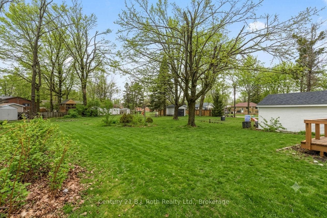 Huge Backyard with Tons of Potential