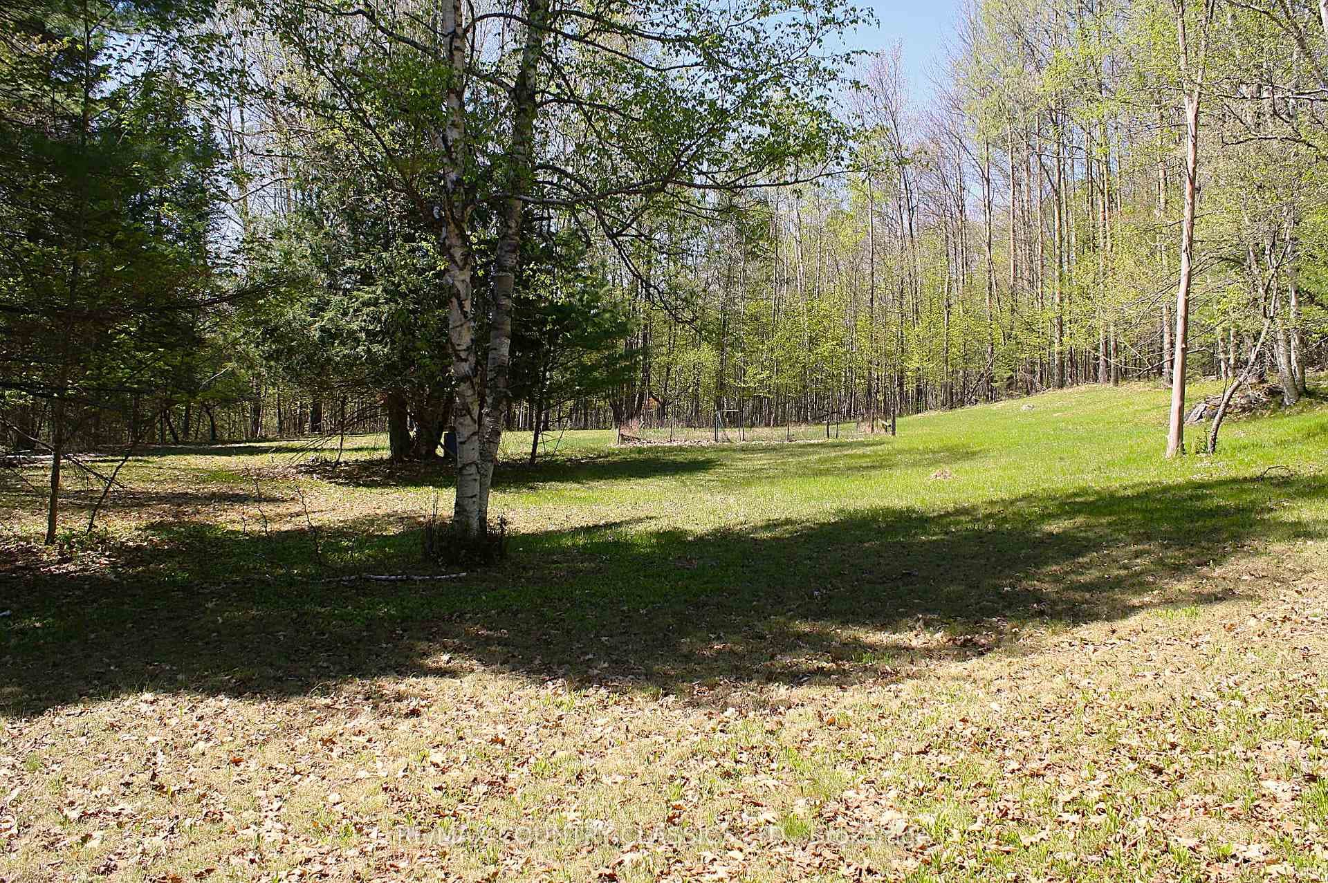 1060 Little Ireland Road photo 29
