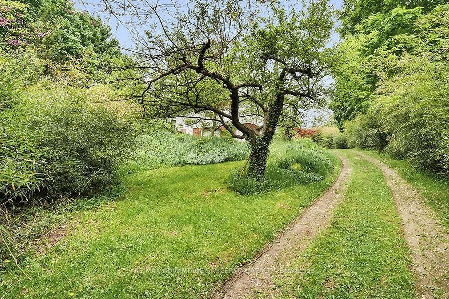 14482 Eight Mile Road photo 10