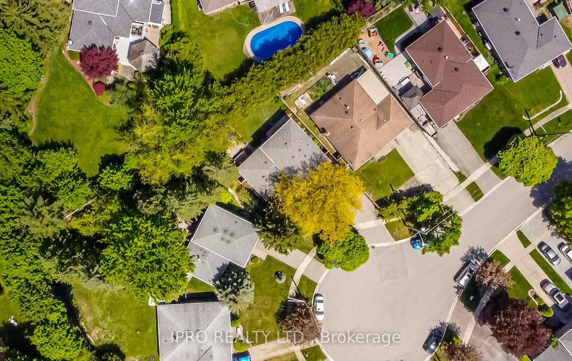 14 Crombie Place photo 43