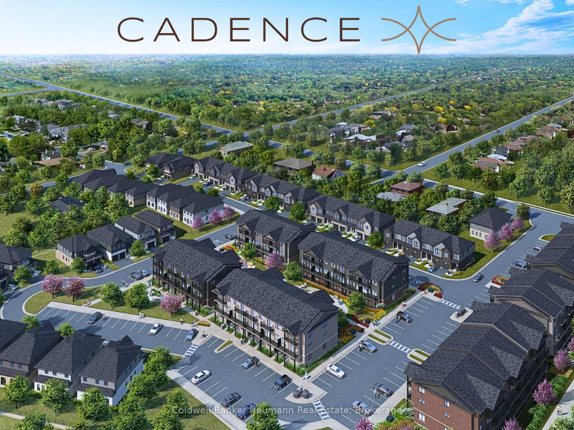 12 Cadence Common photo 13