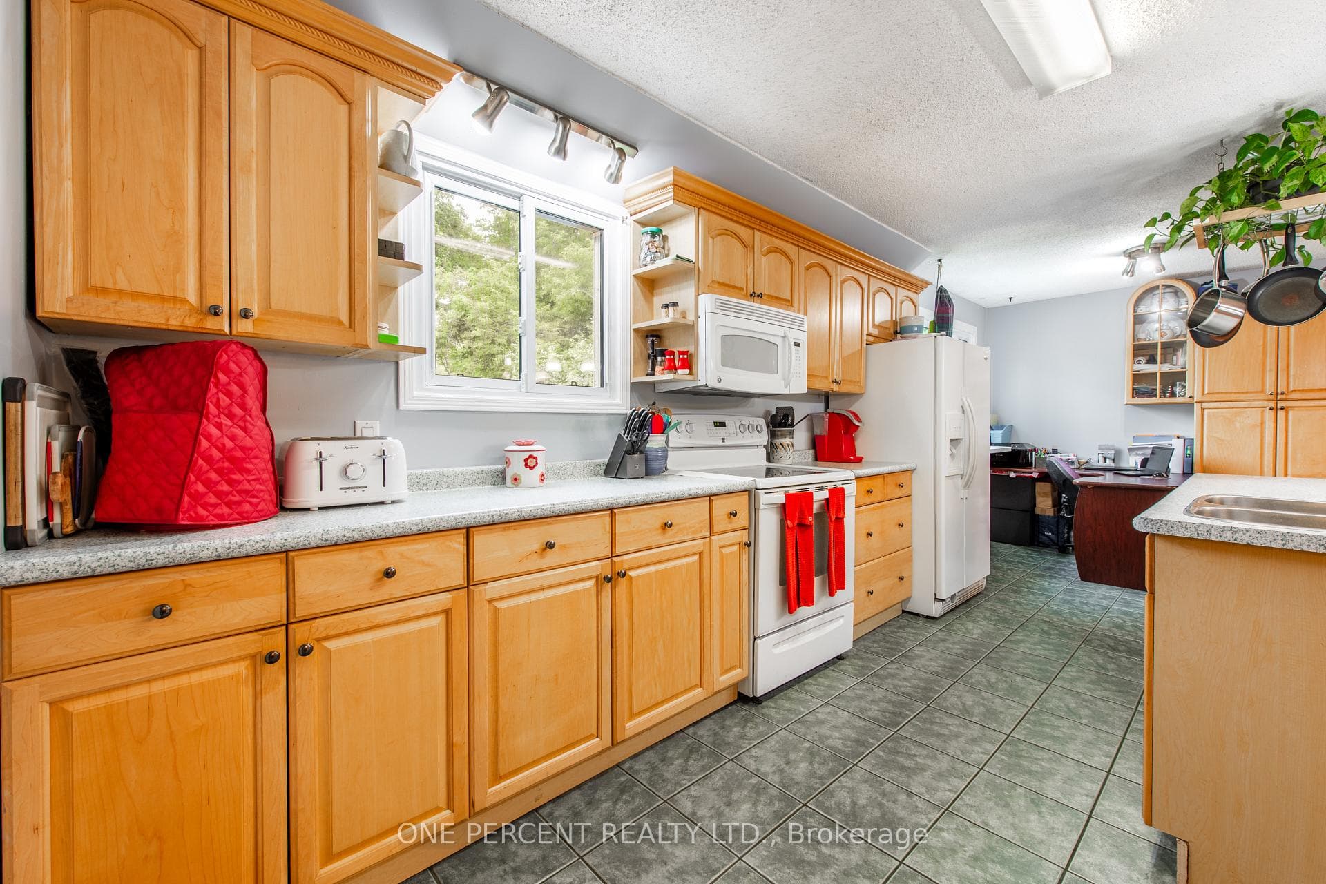 16 Nelson Street photo 9
