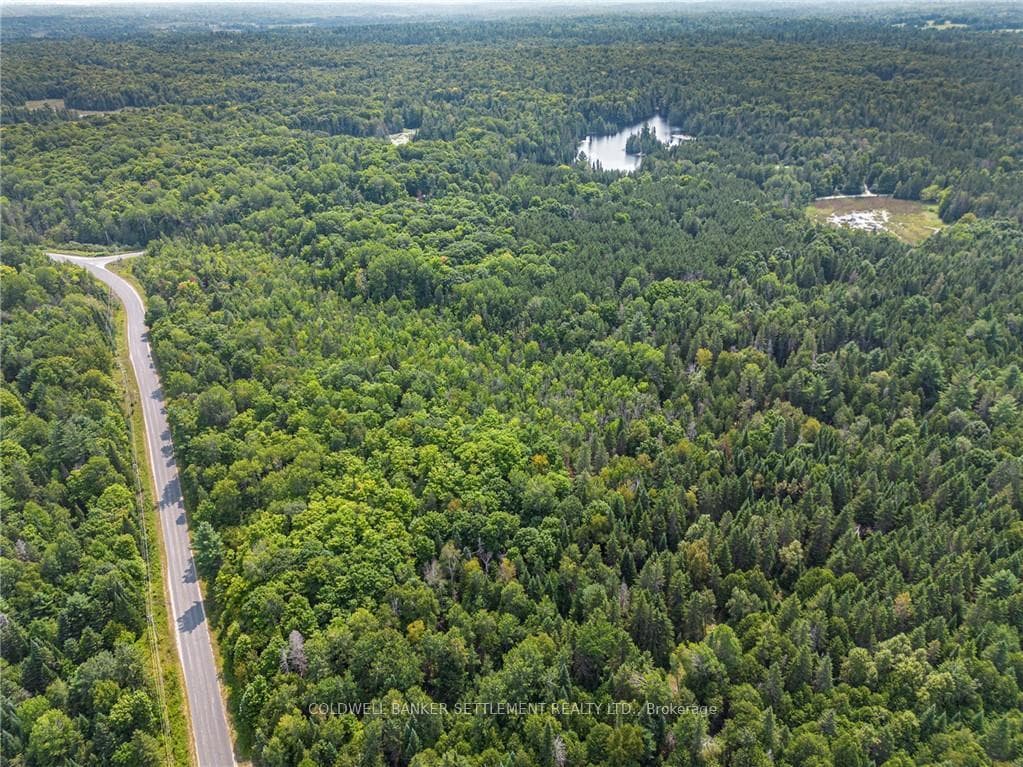 0 WADDLE CREEK Road photo 27