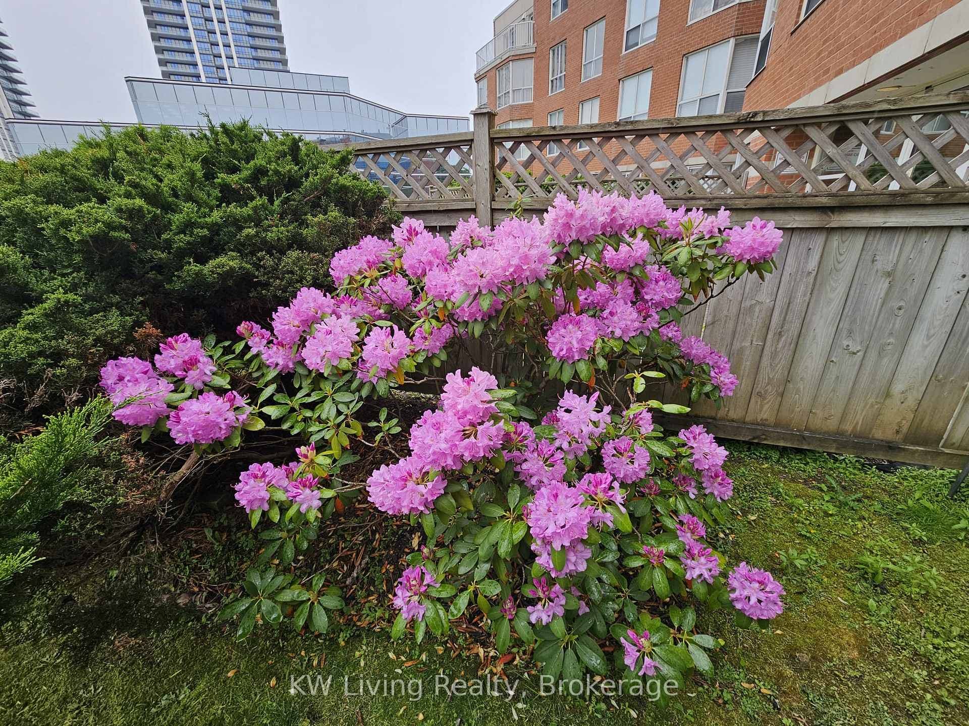 9 Chalmers Road Unit 101 photo 33