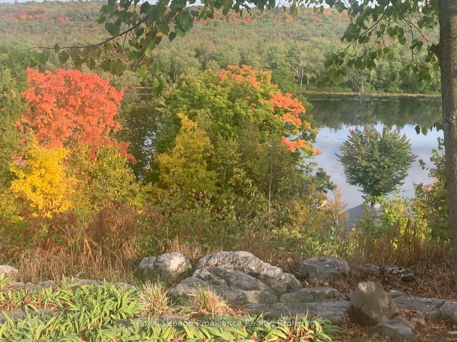 autumn