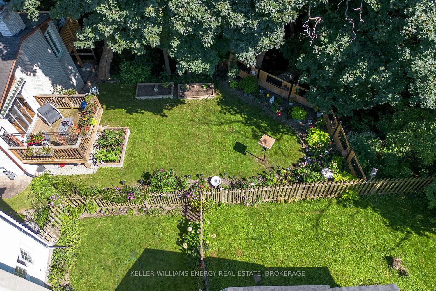 53 Jackman Road photo 20