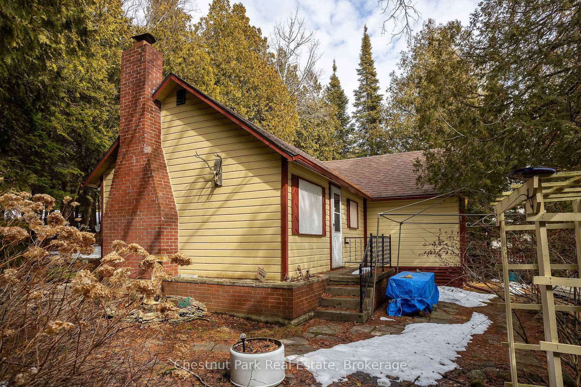 41 Simpson Avenue photo 18