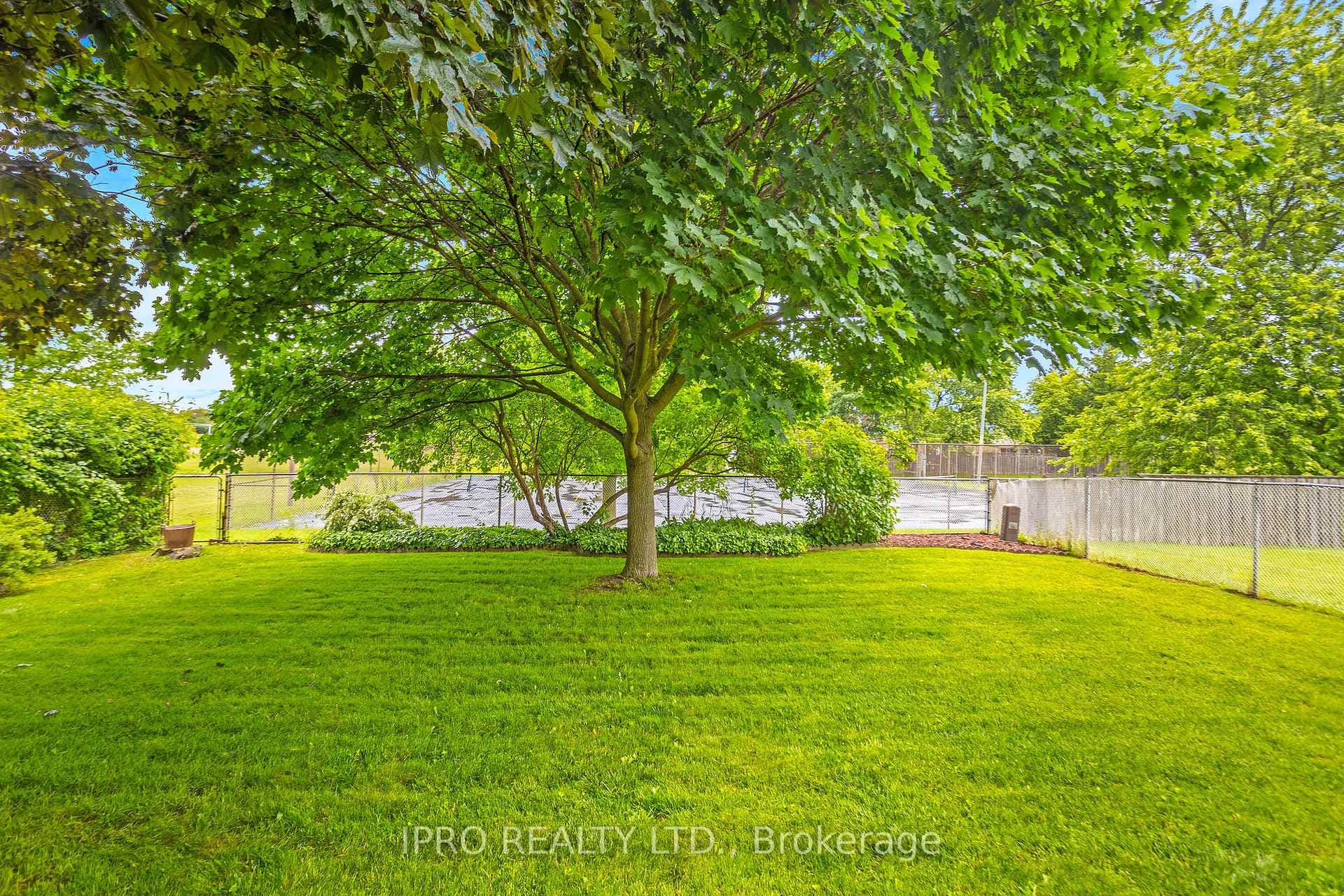 353 Delrex Boulevard photo 36