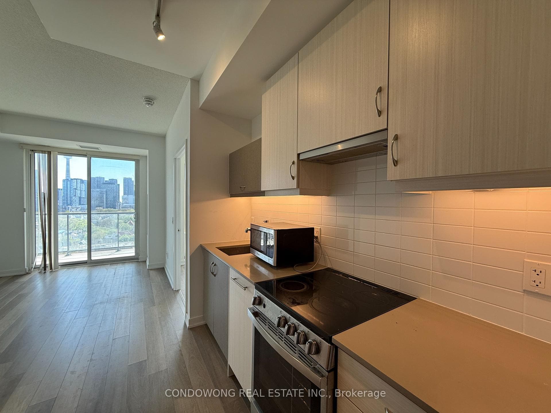181 Huron Street Unit 1202 photo 1