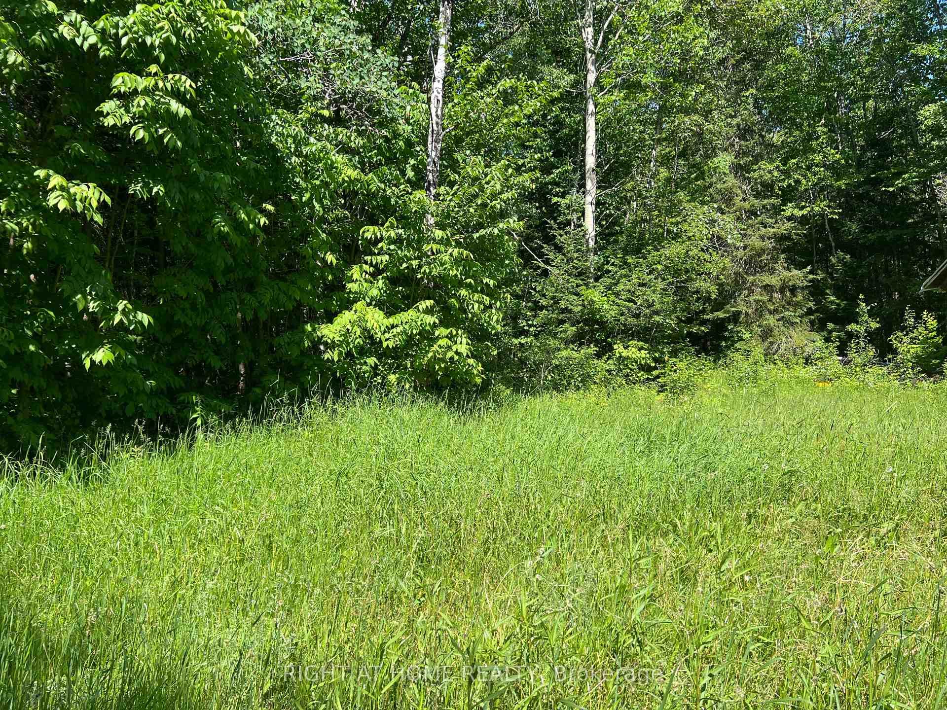 2913 Highway 11 N/A photo 24