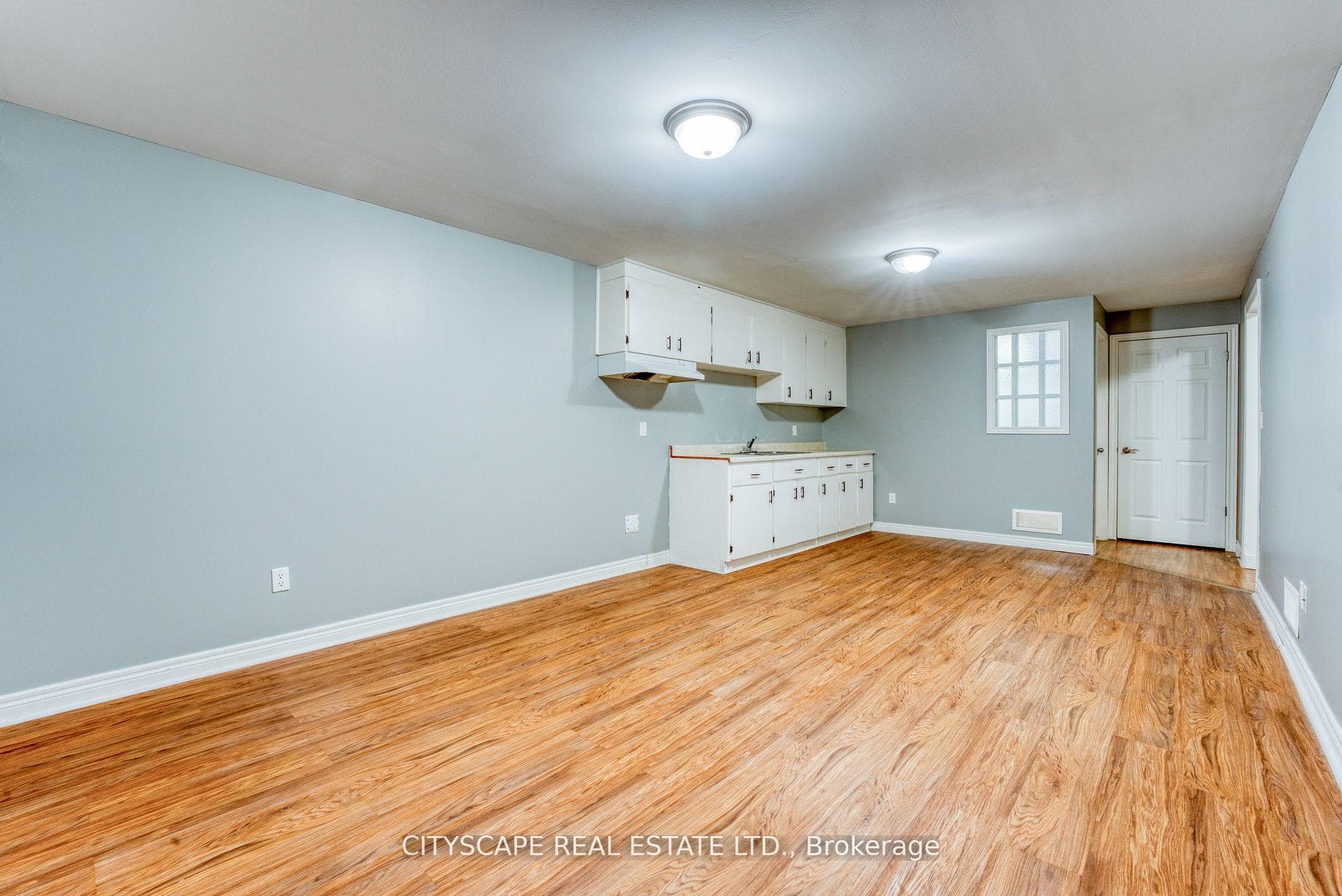 Basement Kitchen & Rec Room