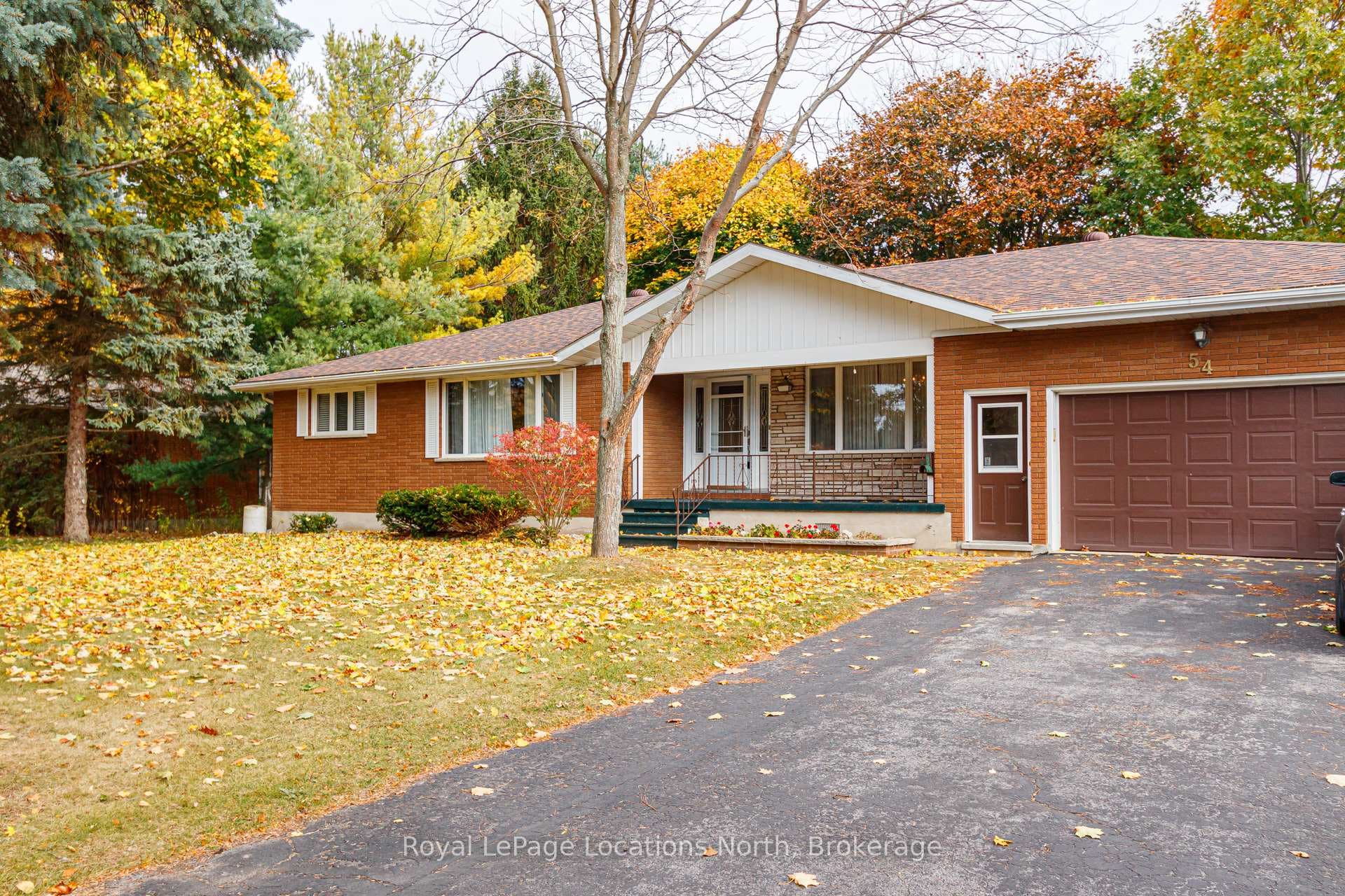 54 Townley Street photo 20