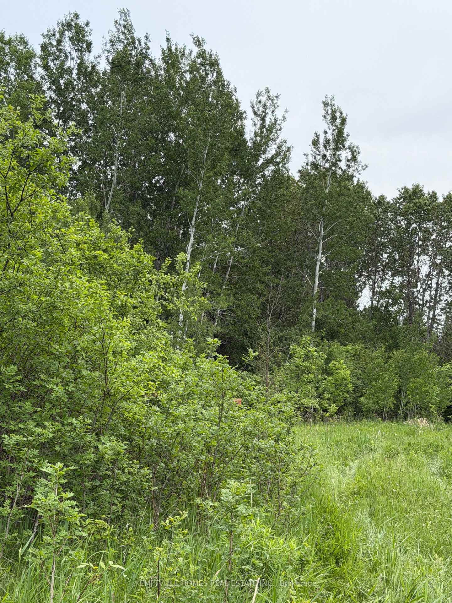00 RICHARDSON Road photo 30