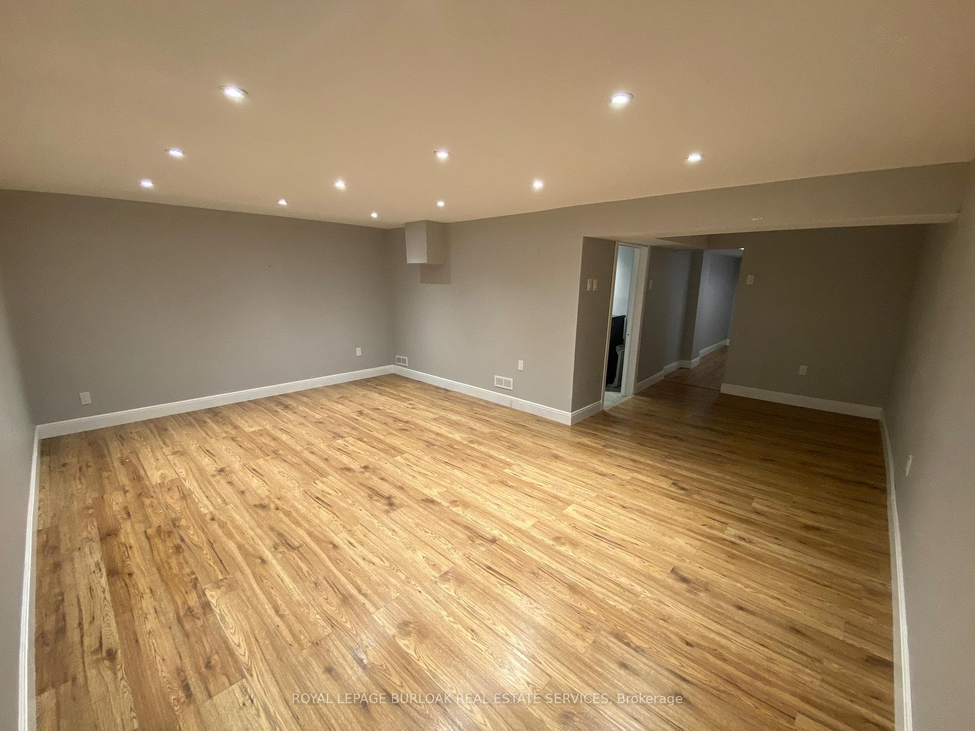 20 Silvervine Drive photo 16