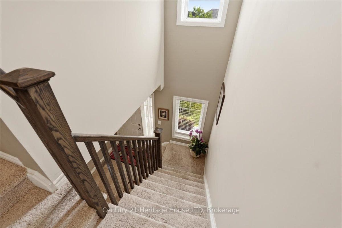 97 Abbott Place photo 20