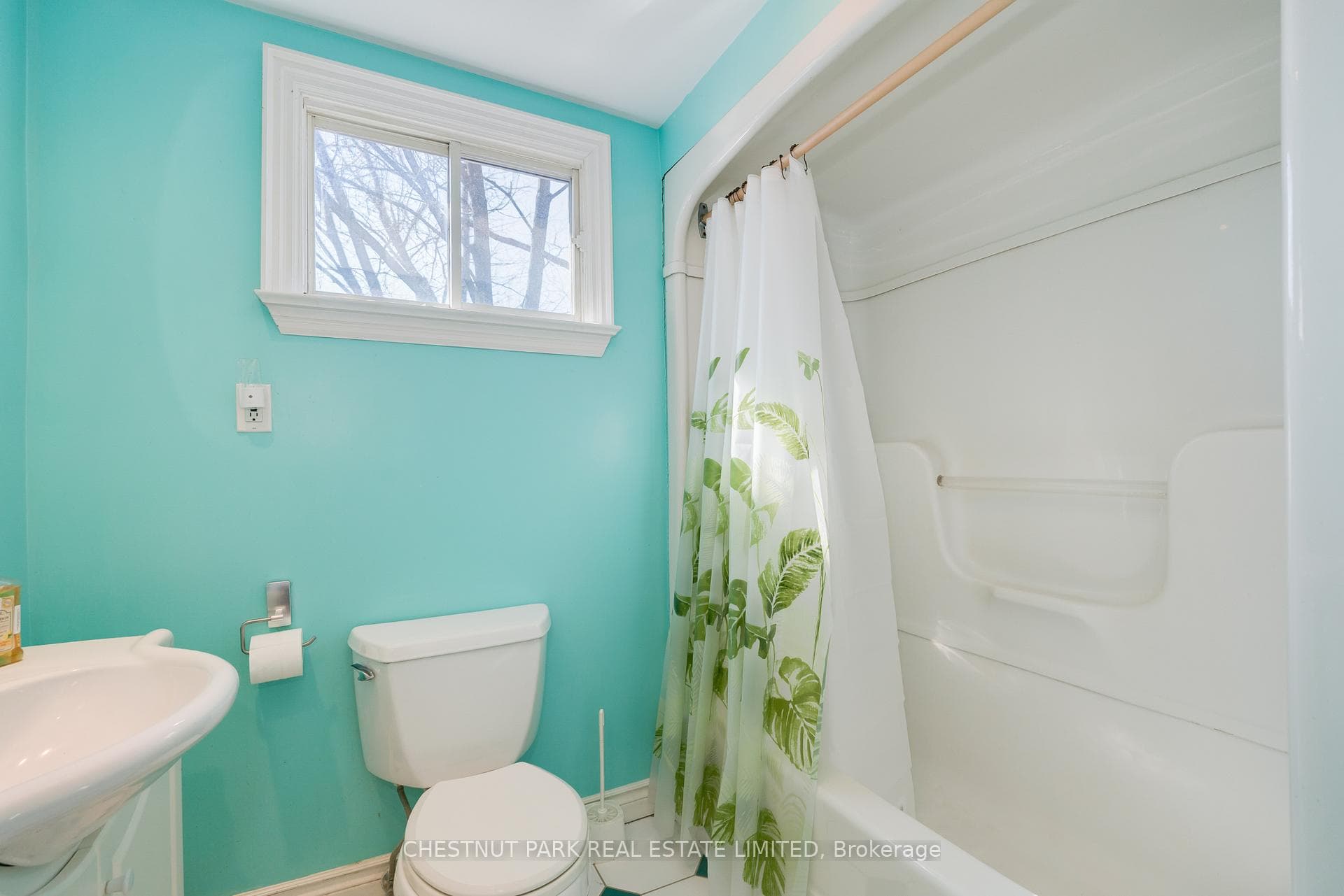 56 Poplar Plains Road photo 33