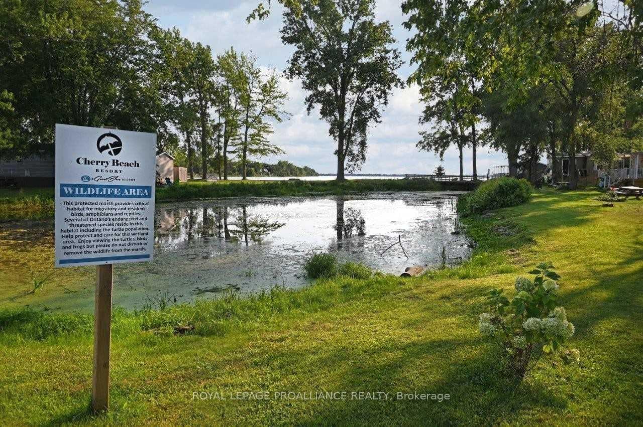 486 Cty Rd 18 - 91 Cherry Beach Lane photo 40
