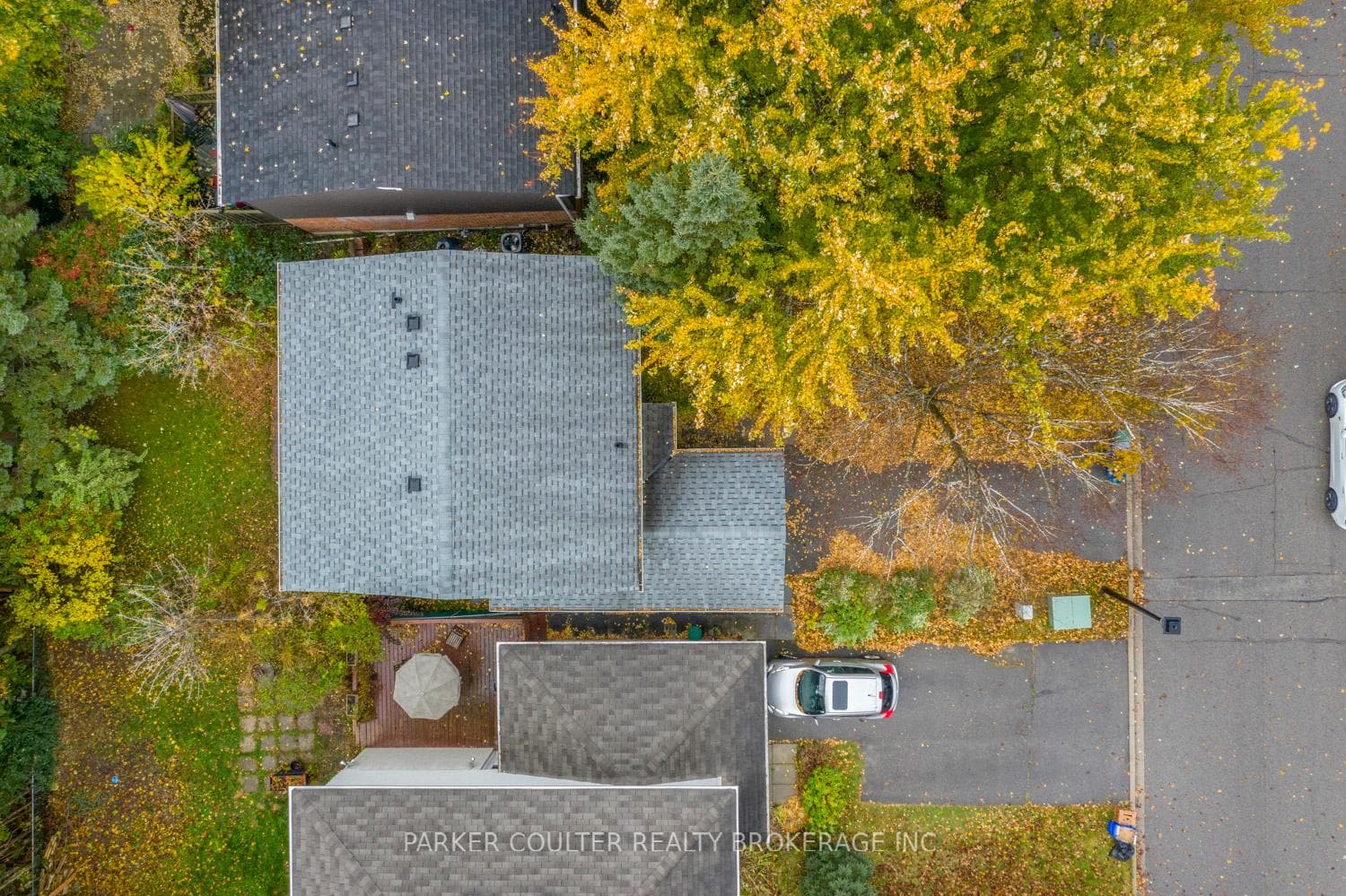 227 Thoms Crescent photo 20