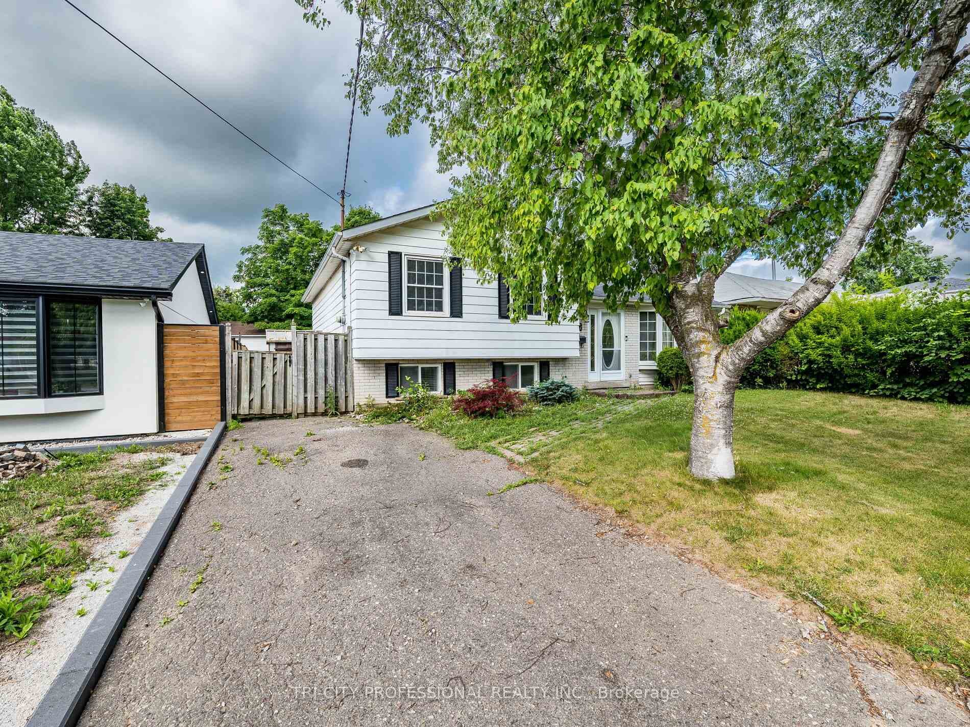 172 Mountainview Road photo 7
